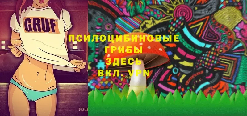 Галлюциногенные грибы Cubensis  что такое наркотик  Железноводск 